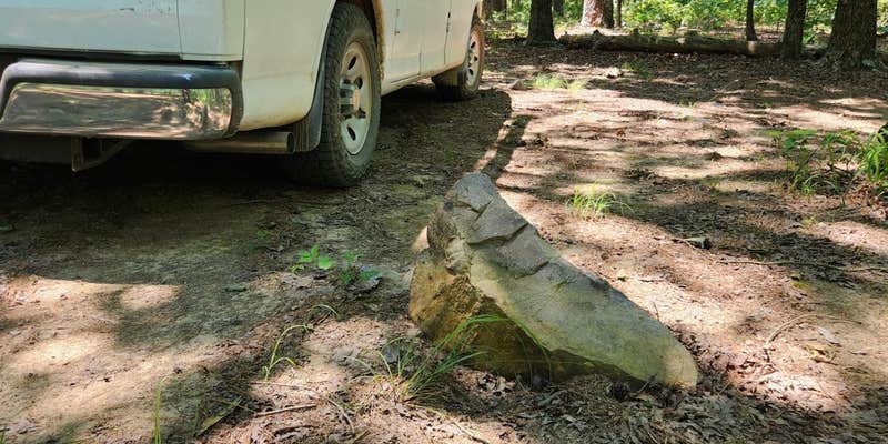 Camper submitted image from FR132-Grindstone Rd Dispersed, Ouachita NF, AR