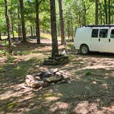 Review photo of FR132-Grindstone Rd Dispersed, Ouachita NF, AR by Fred S., June 19, 2024