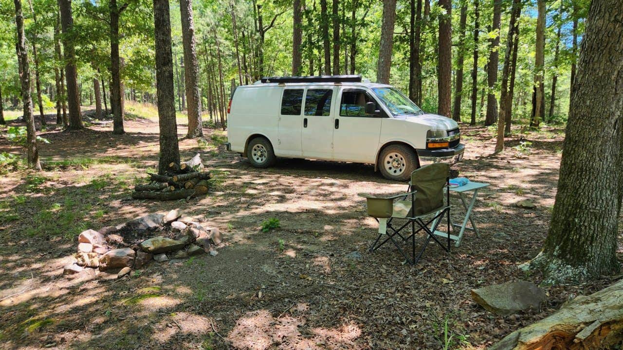 Camper submitted image from FR132-Grindstone Rd Dispersed, Ouachita NF, AR - 5