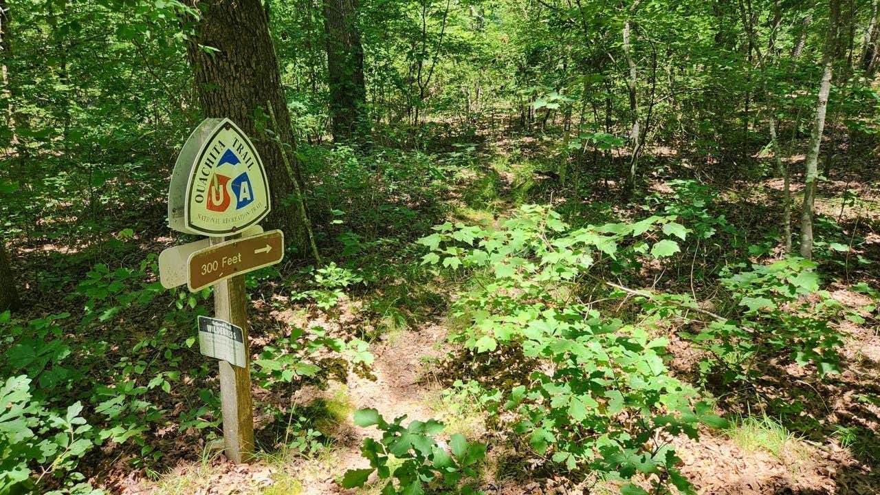 Camper-submitted photo at FR132-Grindstone Rd Dispersed, Ouachita NF, AR near Casa, AR
