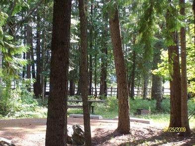 Camper submitted image from Edgewater Campground - 1