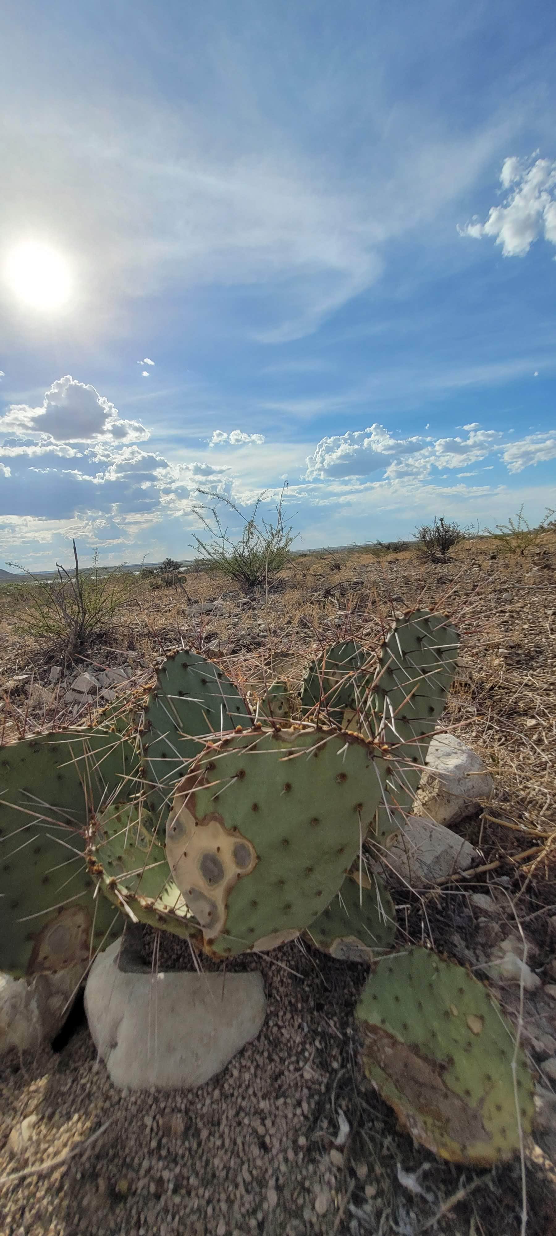 Limestone Campground — Brantley Lake State Park