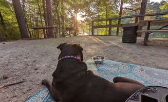 Jaiden W.'s photo of camping with pets at Petersburg - J Strom Thurmond Lake near Ninety Six, SC