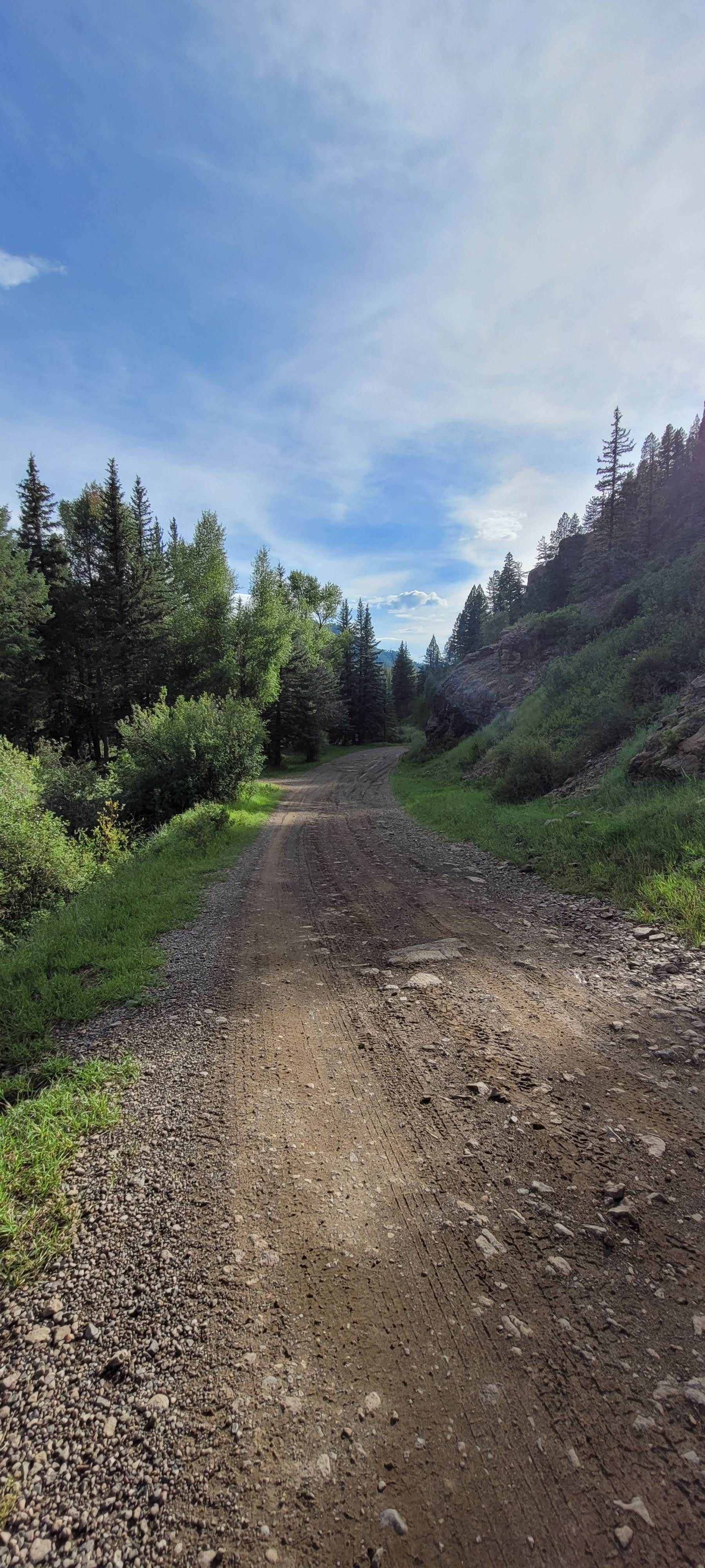 Texas Roving Ranger's photo of a dispersed camping area at East Fork San Juan River, USFS Road 667 - Dispersed Camping near Rio Grande National Forest