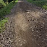 Review photo of East Fork San Juan River, USFS Road 667 - Dispersed Camping by Texas Roving Ranger , June 20, 2024