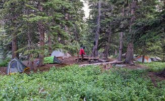 Timothy N.'s photo of a dispersed camping area at Lower Chicago Dispersed Camping near Evergreen, CO