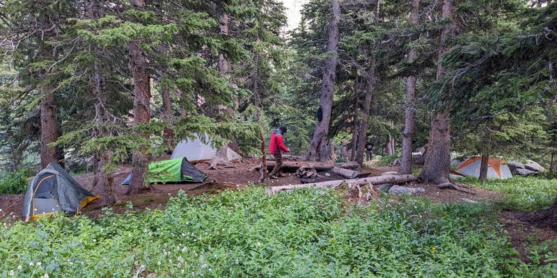 Camper submitted image from Lower Chicago Dispersed Camping