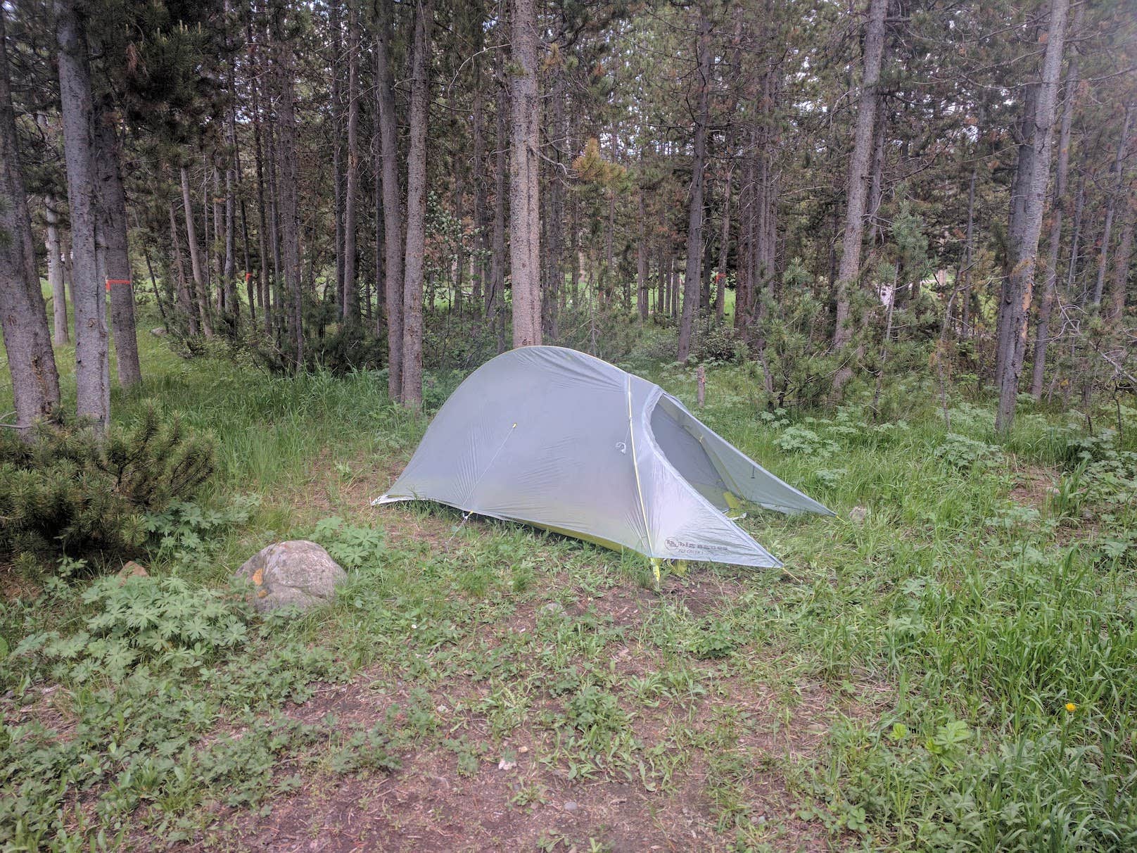 Camper-submitted photo at Turpin Meadow Campground near Grand Teton National Park