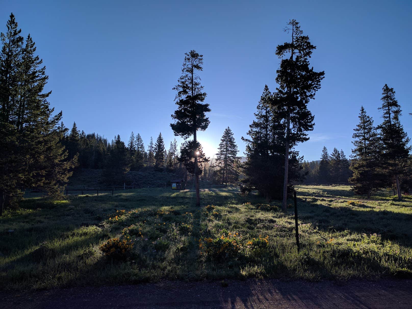 Camper-submitted photo at Turpin Meadow Campground near Grand Teton National Park
