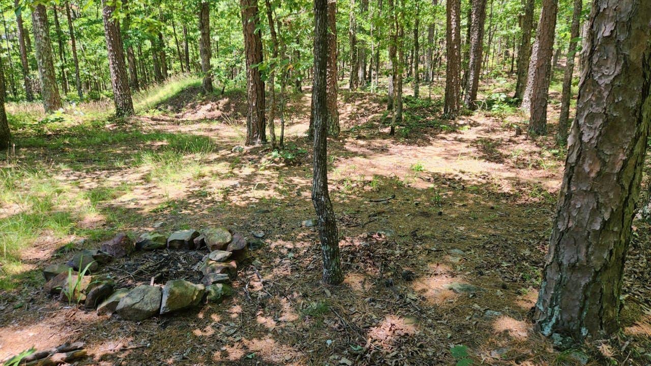 FR132 Wilderness Boundary Dispersed photo 3