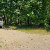 Review photo of FR132 Wilderness Boundary Dispersed, Ouachita NF, AR by Fred S., June 20, 2024