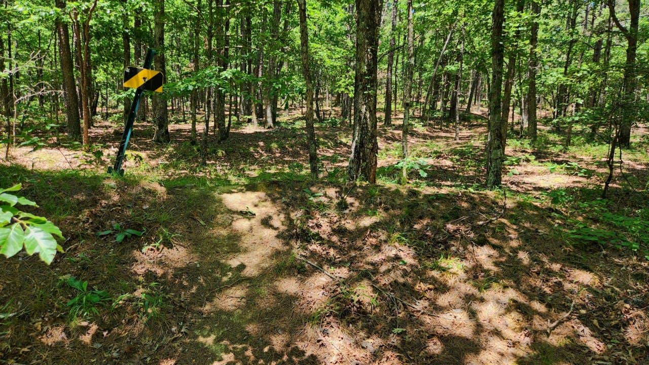 FR132 Wilderness Boundary Dispersed photo 5