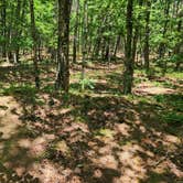 Review photo of FR132 Wilderness Boundary Dispersed, Ouachita NF, AR by Fred S., June 20, 2024