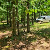 Review photo of FR132 Wilderness Boundary Dispersed, Ouachita NF, AR by Fred S., June 20, 2024