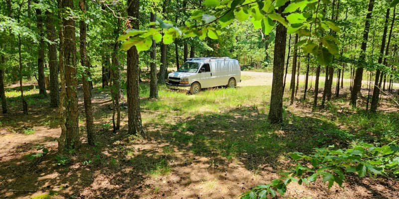 Camper submitted image from FR132 Wilderness Boundary Dispersed, Ouachita NF, AR