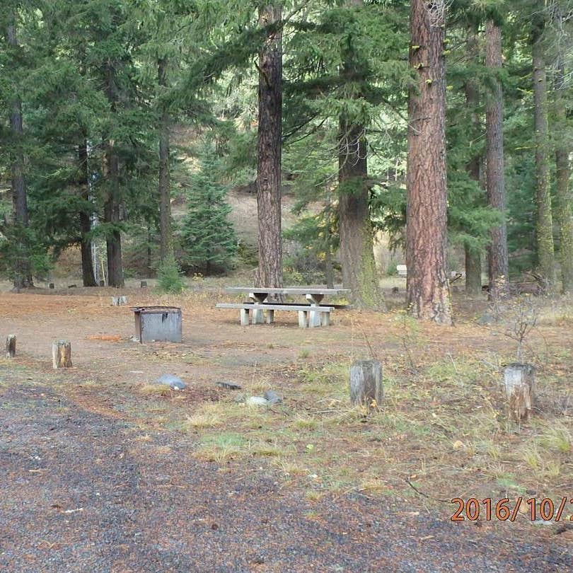 Halfway Flat Campground Camping The Dyrt