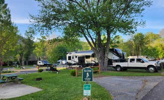 Stonebridge R.'s photo of camping with pets at Stonebridge RV Resort near Lake Junaluska, NC