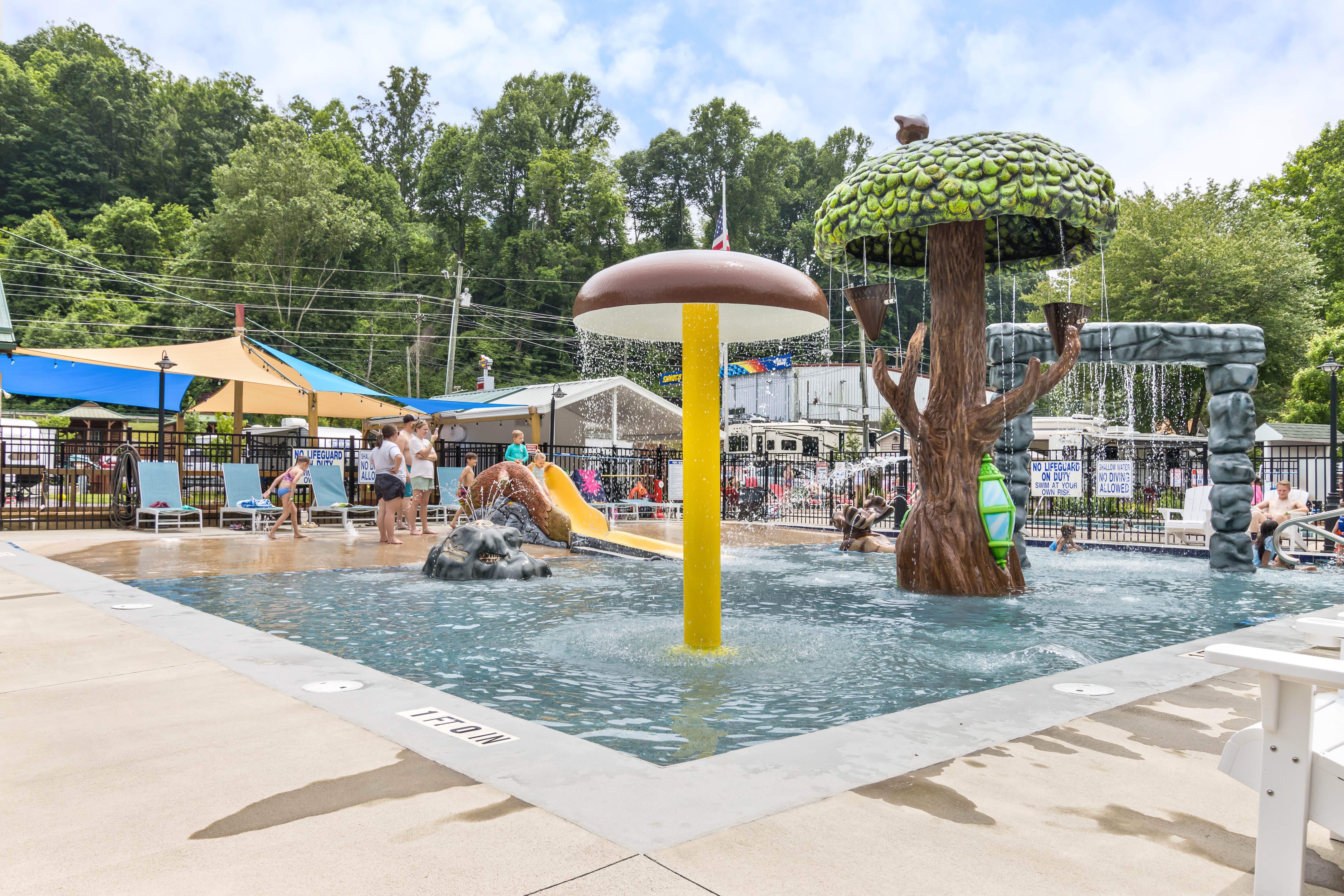 Camper-submitted photo at Stonebridge RV Resort near Canton, NC