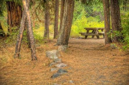 Camper submitted image from Hause Creek Campground - 3