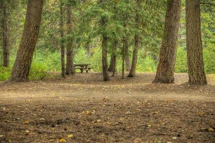 Camper submitted image from Hells Crossing Campground - 5
