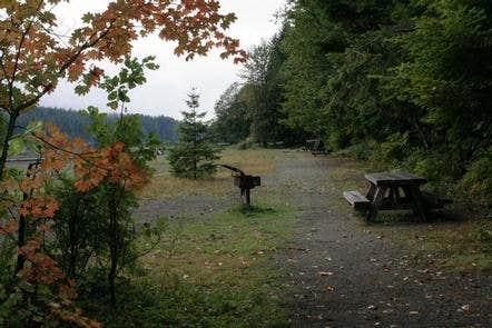 Camper submitted image from Horseshoe Cove Campground - 3