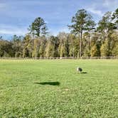 Review photo of Madison RV Resort and Golf Course by MickandKarla W., June 21, 2024
