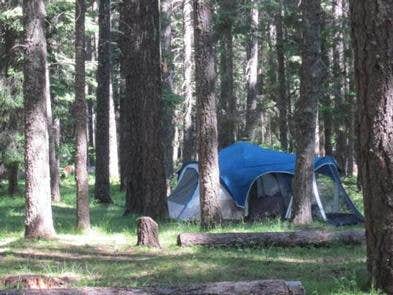 Camper submitted image from Indian Creek (WA) - 3