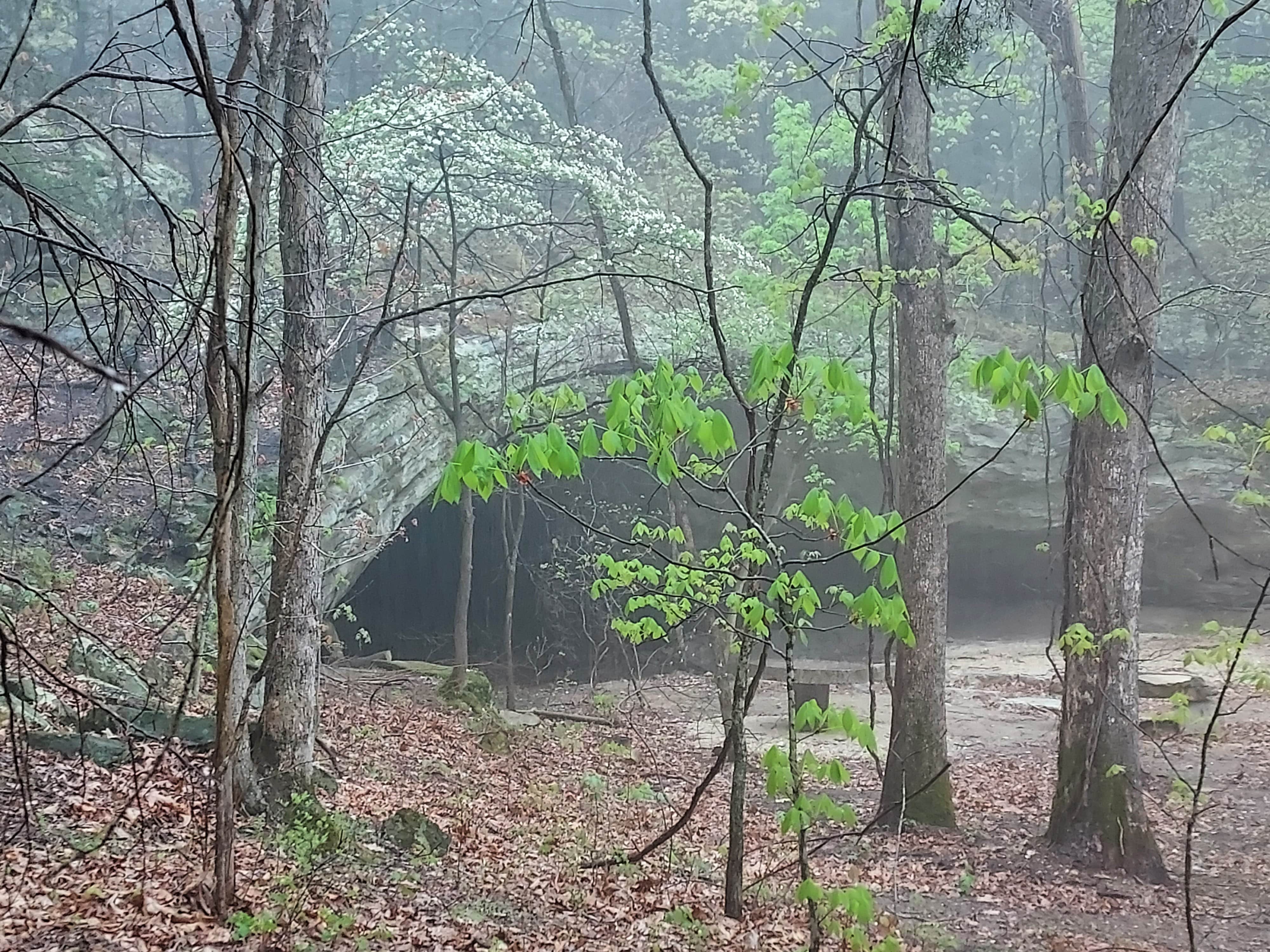 Camper-submitted photo at Sage Mountain Camping near St. Ann, MO