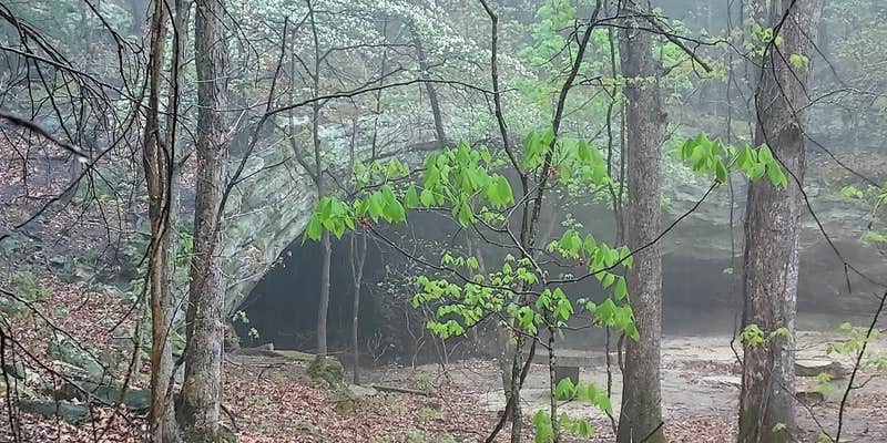 Camper submitted image from Sage Mountain Camping