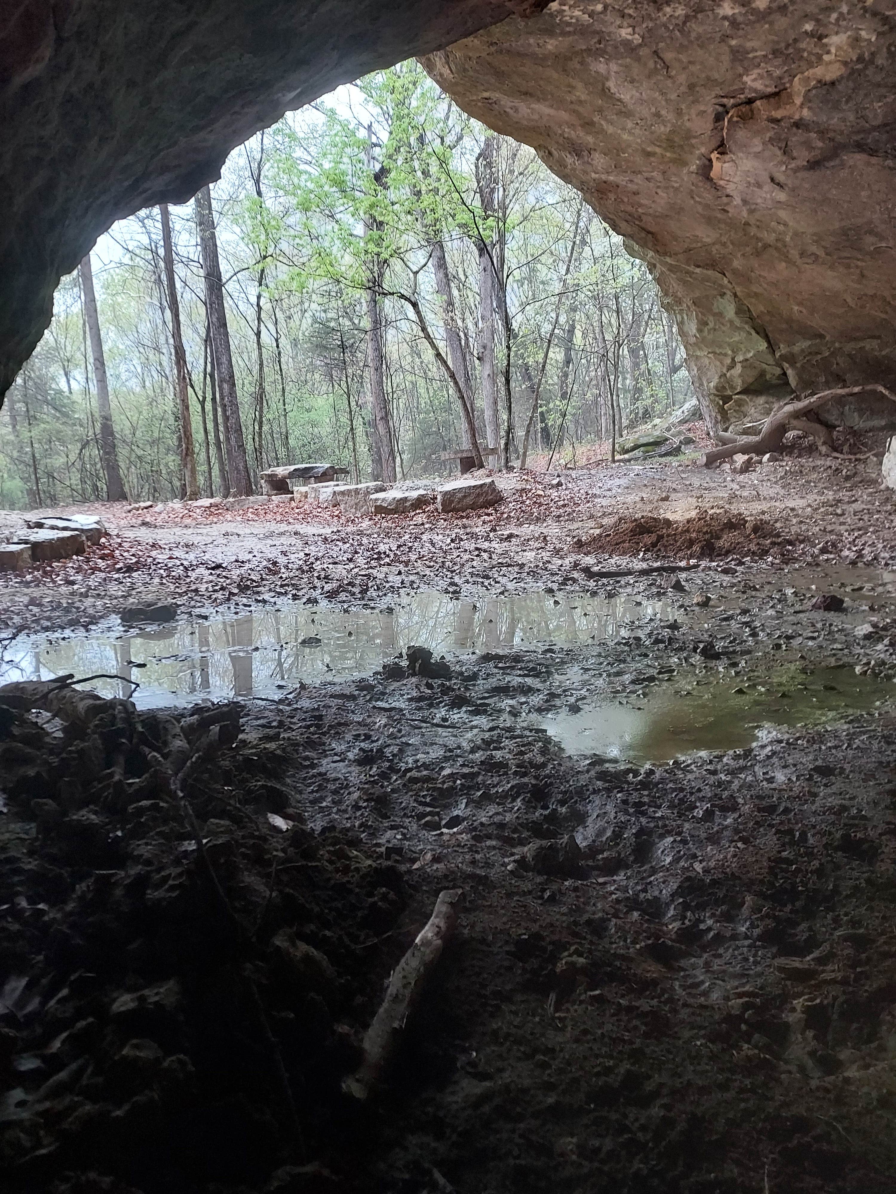 Camper-submitted photo at Sage Mountain Camping near St. Ann, MO