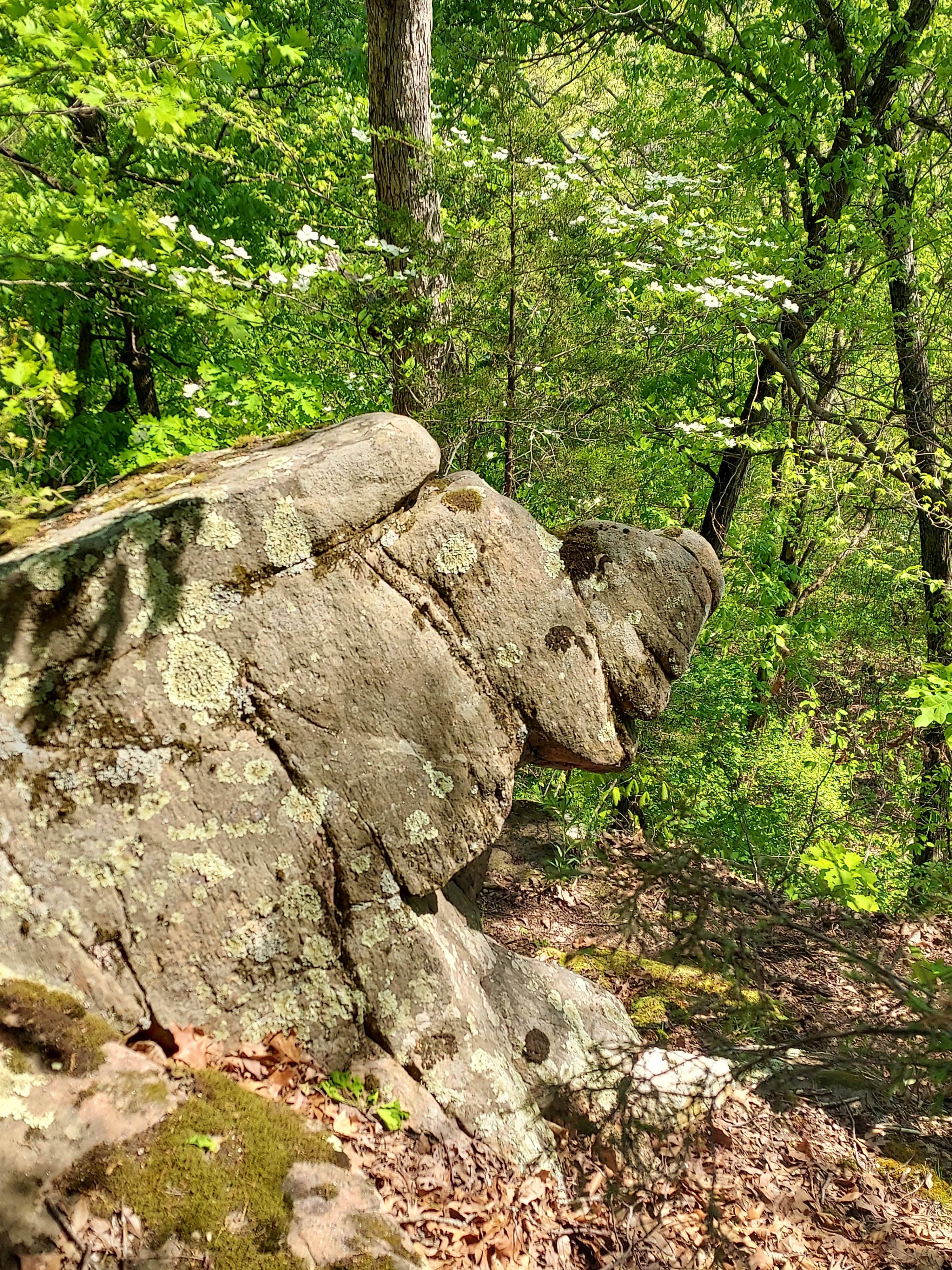 Camper-submitted photo at Sage Mountain Camping near St. Ann, MO