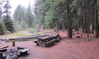 Camping near Whistlin' Jack's Outpost & Lodge: Indian Flat Group Site, Goose Prairie, Washington