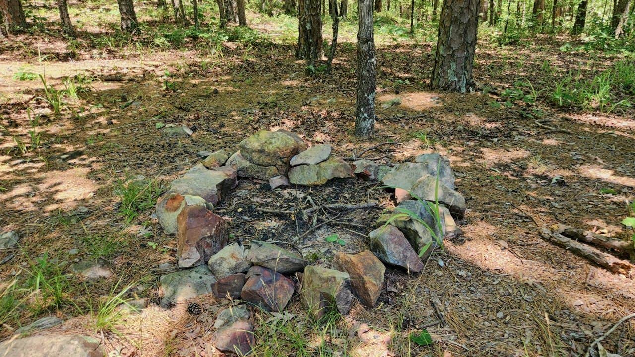 Camper-submitted photo at FR132 Grindstone Mountain Area Dispersed, Ouachita NF. AR near Jessieville, AR