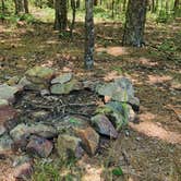 Review photo of FR132 Grindstone Mountain Area Dispersed, Ouachita NF. AR by Fred S., June 21, 2024