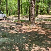 Review photo of FR132 Grindstone Mountain Area Dispersed, Ouachita NF. AR by Fred S., June 21, 2024