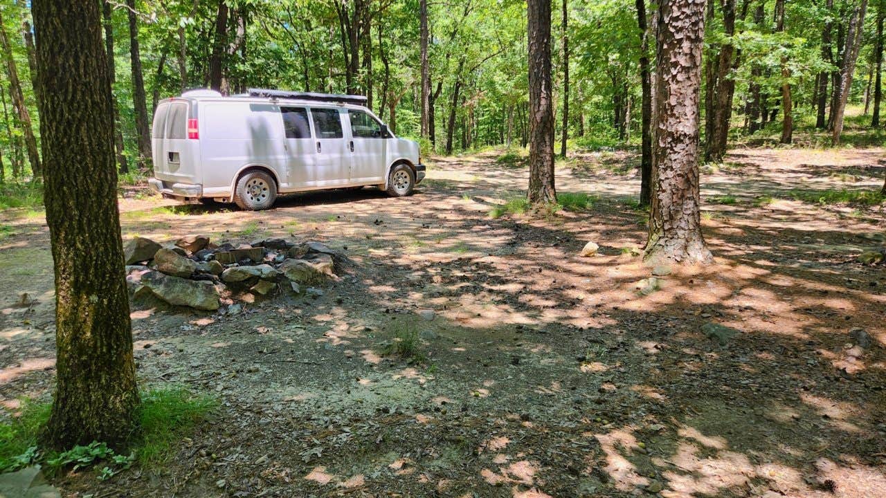 Camper submitted image from FR132 Grindstone Mountain Area Dispersed, Ouachita NF. AR - 2