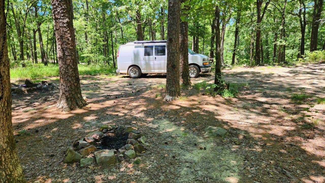 Camper-submitted photo at FR132 Grindstone Mountain Area Dispersed, Ouachita NF. AR near Jessieville, AR