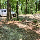 Review photo of FR132 Grindstone Mountain Area Dispersed, Ouachita NF. AR by Fred S., June 21, 2024