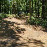 Review photo of FR132 Grindstone Mountain Area Dispersed, Ouachita NF. AR by Fred S., June 21, 2024