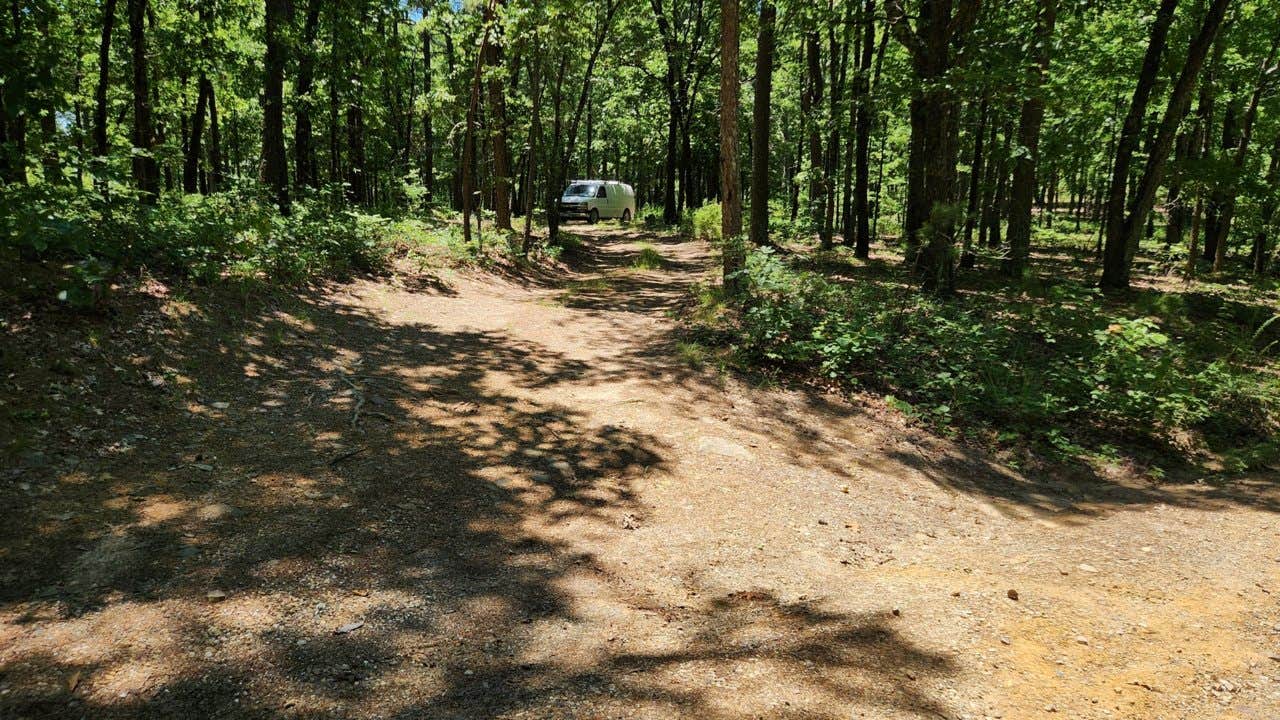 Camper submitted image from FR132 Grindstone Mountain Area Dispersed, Ouachita NF. AR - 5