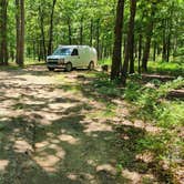 Review photo of FR132 Grindstone Mountain Area Dispersed, Ouachita NF. AR by Fred S., June 21, 2024