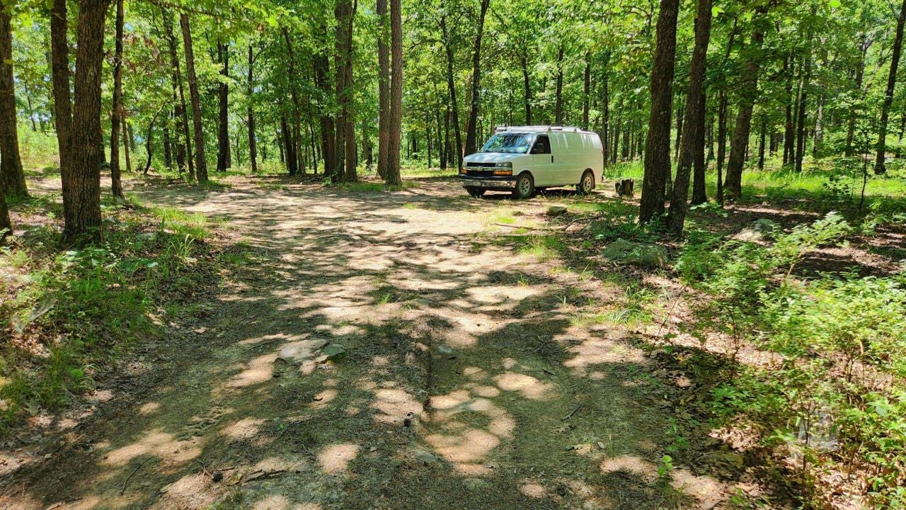 Camper submitted image from FR132 Grindstone Mountain Area Dispersed, Ouachita NF. AR - 1