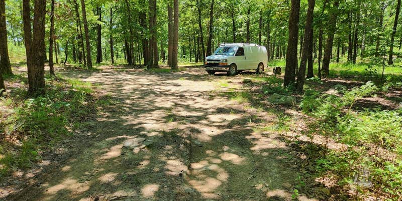 Camper submitted image from FR132 Grindstone Mountain Area Dispersed, Ouachita NF. AR