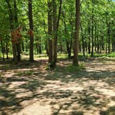 Review photo of FR132 Grindstone Mountain Area Dispersed, Ouachita NF. AR by Fred S., June 21, 2024