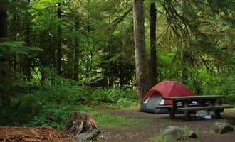 Camping near Gifford Pinchot National Forest North Fork Forest Camp Campground: Iron Creek Campground, Randle, Washington