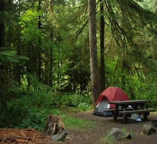 Camper-submitted photo from Mowich Lake Campground — Mount Rainier National Park
