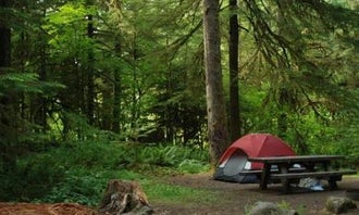 Camping near North Fork Elk Group Camp: Iron Creek Campground, Randle, Washington