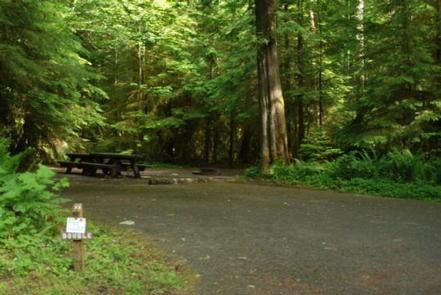 Camper submitted image from Iron Creek Campground - 2
