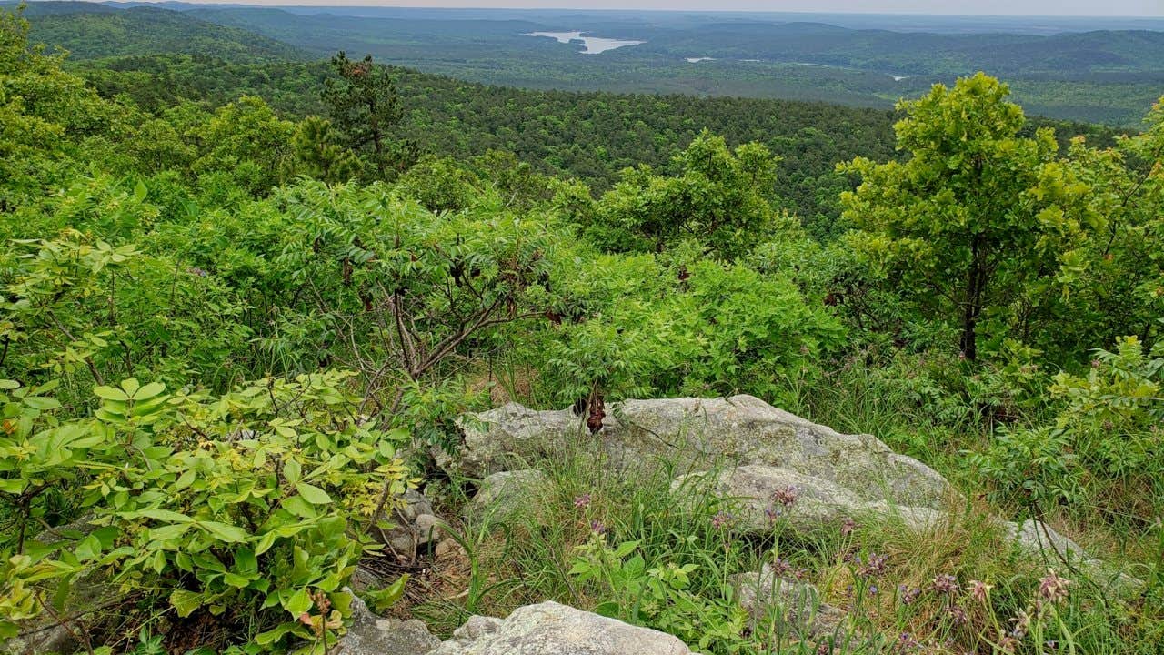 Camping near FR132-Grindstone Rd Dispersed, Ouachita NF, AR: Crystal Mountain Dispersed, Paron, Arkansas
