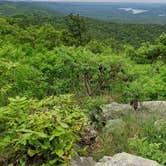 Review photo of Crystal Mountain Dispersed by Fred S., June 21, 2024